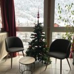 Coin détente avec 2 fauteuils Appartement "Mont"